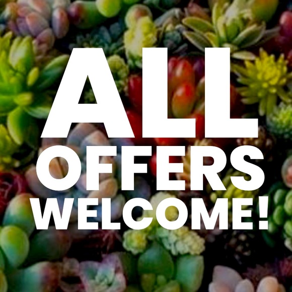 helpful info about my closet 🦋 - Picture 3 of 4